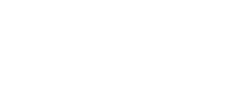 VeaConnect Logo - White